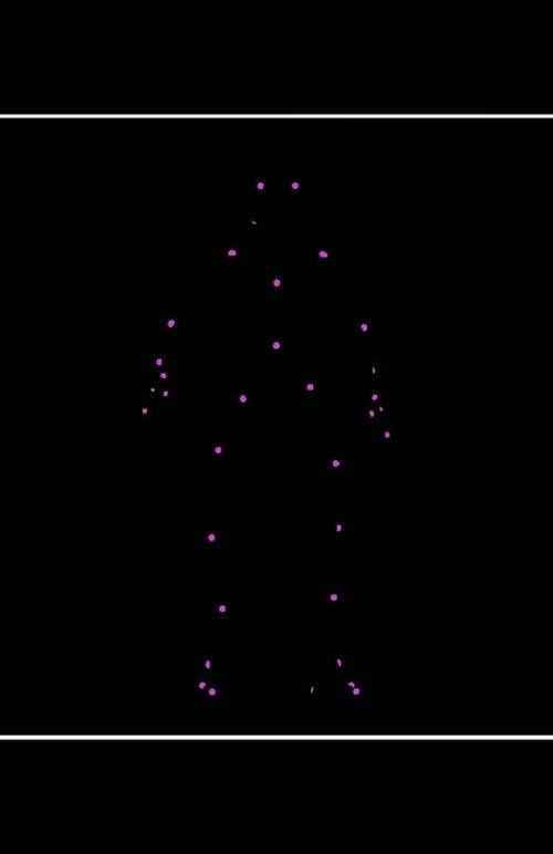 Network Reconstruction Of Nematode Symbionts