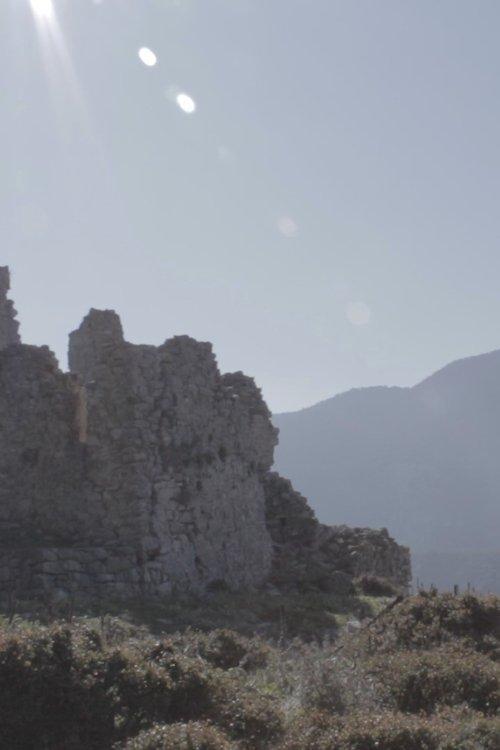 Ρίζες