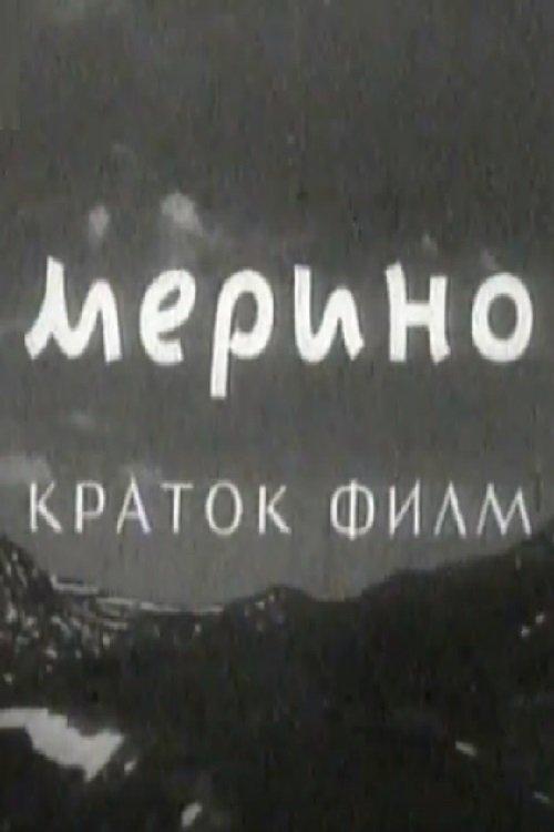 Мерино