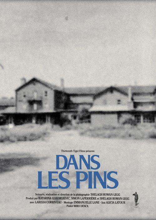Dans les pins