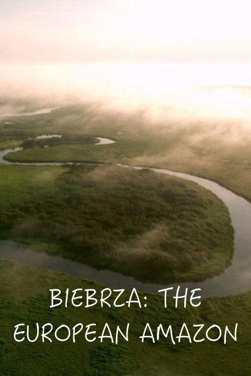 Biebrza. Między jawą a snem