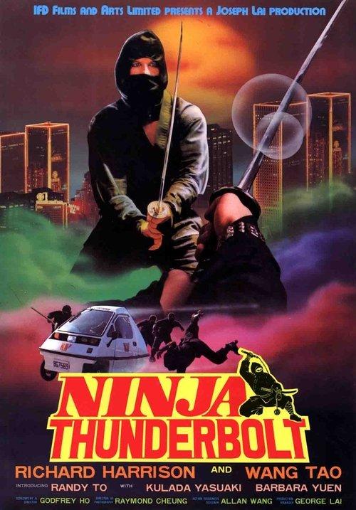 至尊神偷