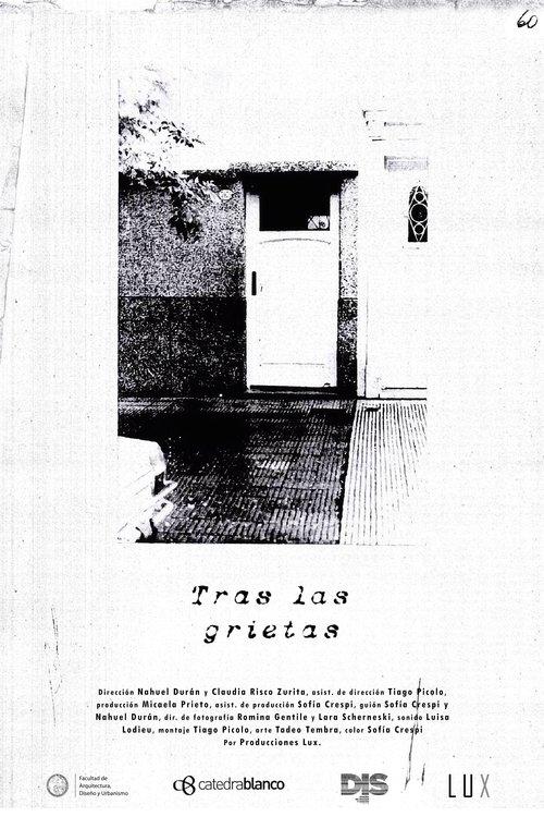 Tras las grietas