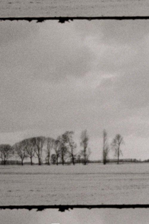 Landscape as Landscape 7