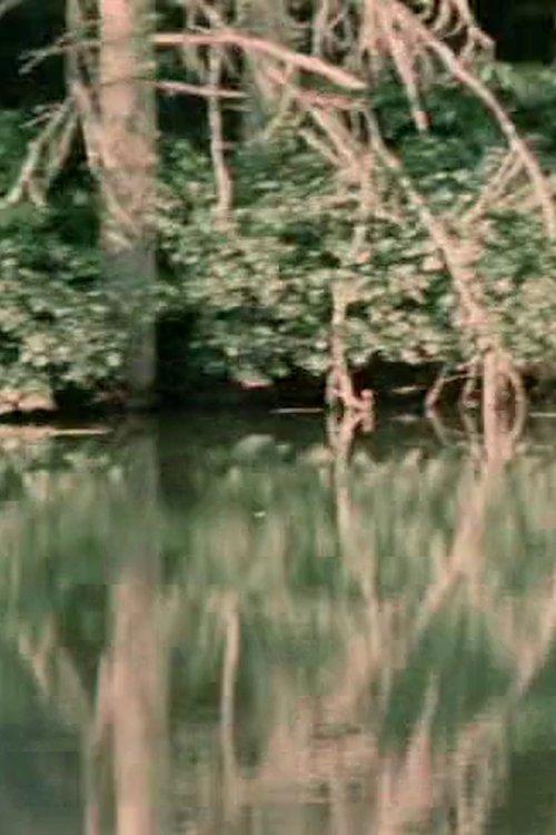 Porter Springs 3