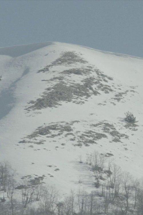 Il mondo di sotto