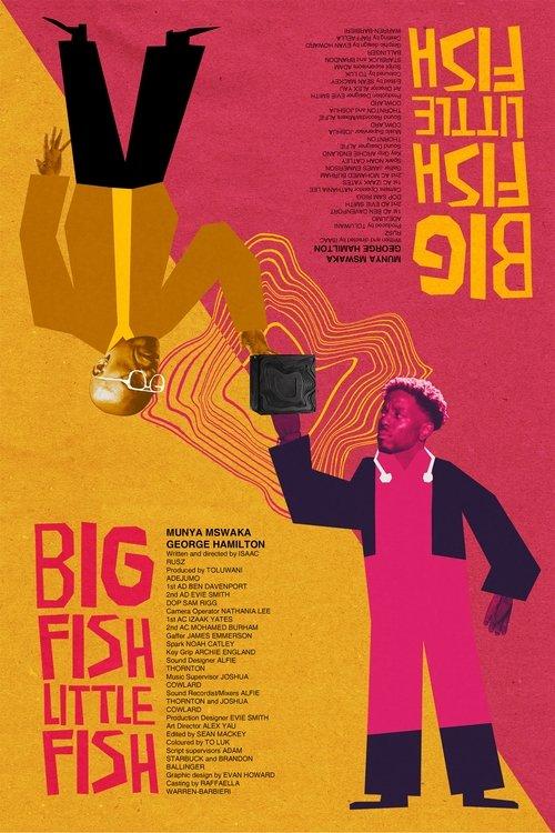 Big Fish Little Fish