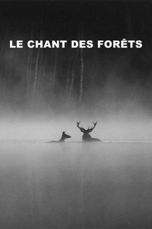 Le chant des forêts