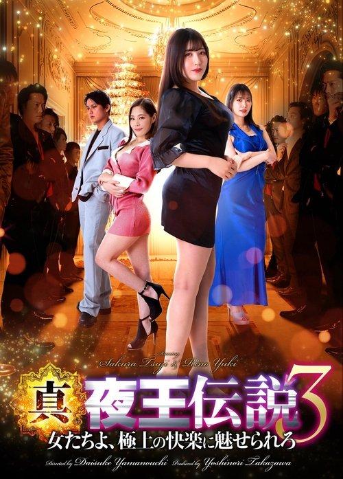 真・夜王伝説３ 女たちよ、極上の快楽に魅せられろ