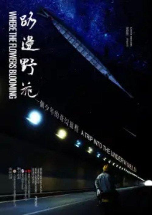 路边野花