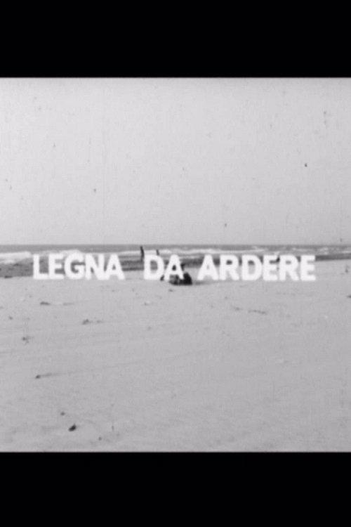 Legna da ardere
