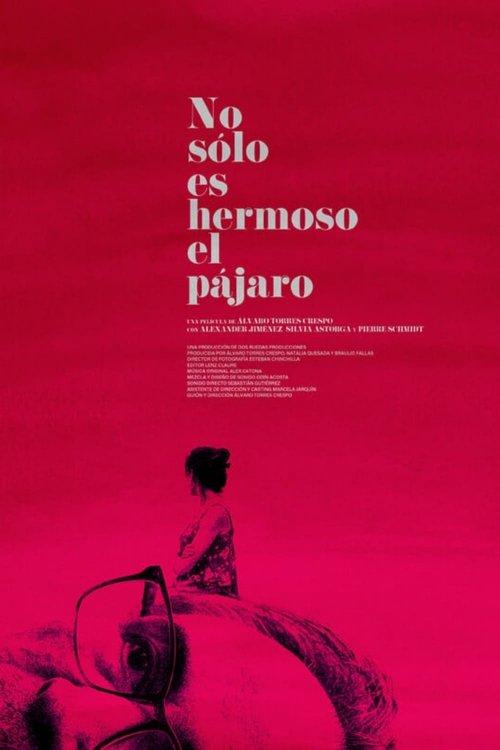 No Sólo Es Hermoso El Pájaro