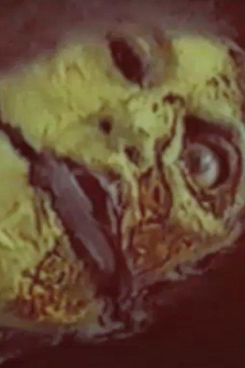 Full Disclosure: Government Cover-up on Alien Abduction