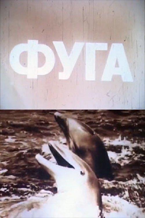 Фуга
