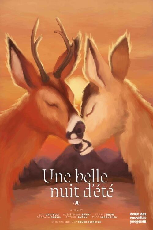 Une belle nuit d'été