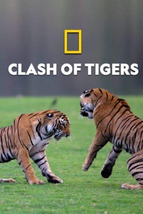 Fúria de Tigres