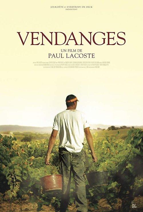 Vendanges