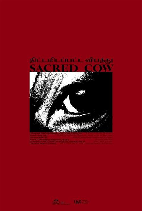 Sacred Cow திட்டமிடப்பட்ட விபத்து
