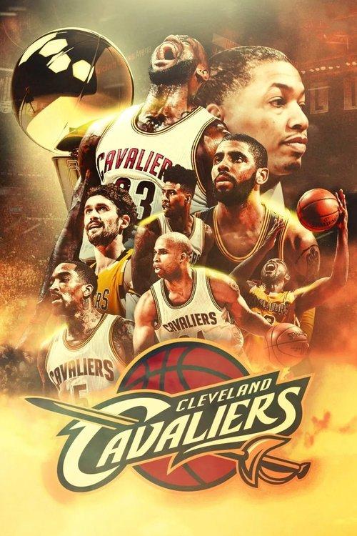 2015-2016 NBA总决赛