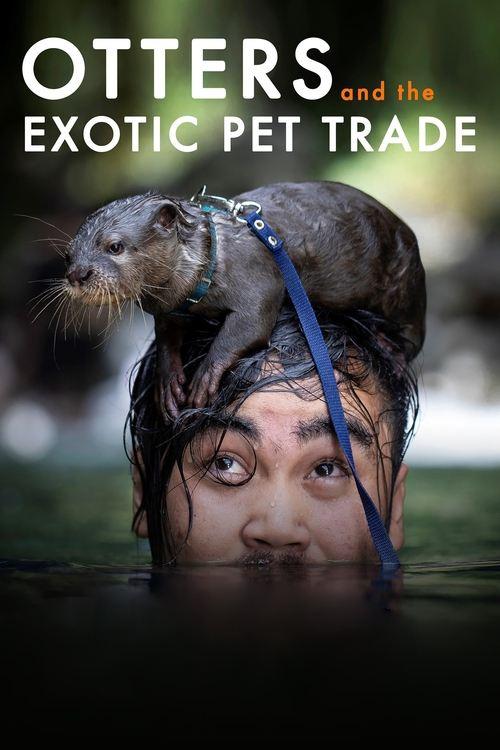 Tráfico de Animais Exóticos