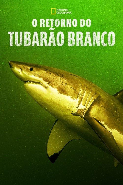 O Retorno do Tubarão Branco