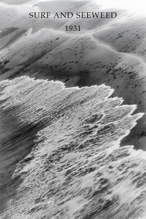 Surf and Seaweed