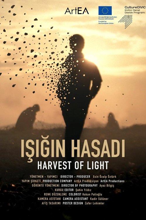 Işığın Hasadı