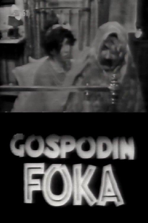 Gospodin foka
