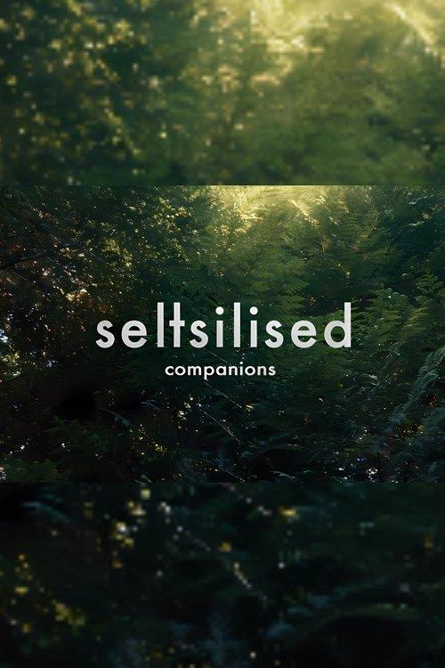Seltsilised