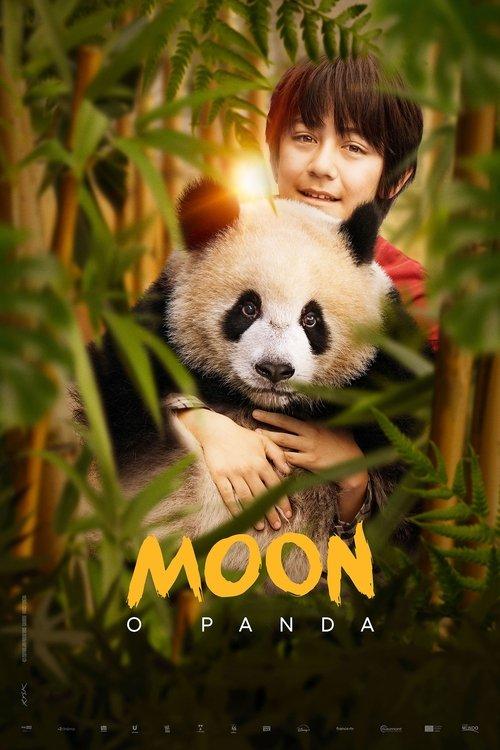 Moon le Panda
