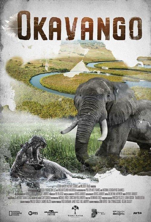Okavango - Fluss der Träume
