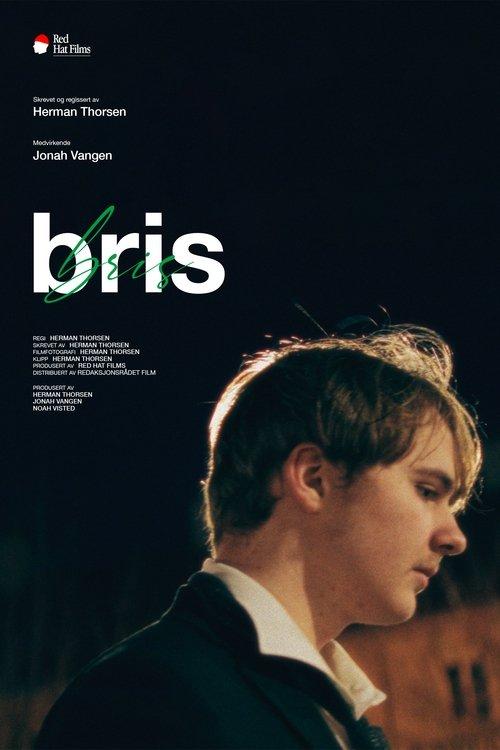 Bris