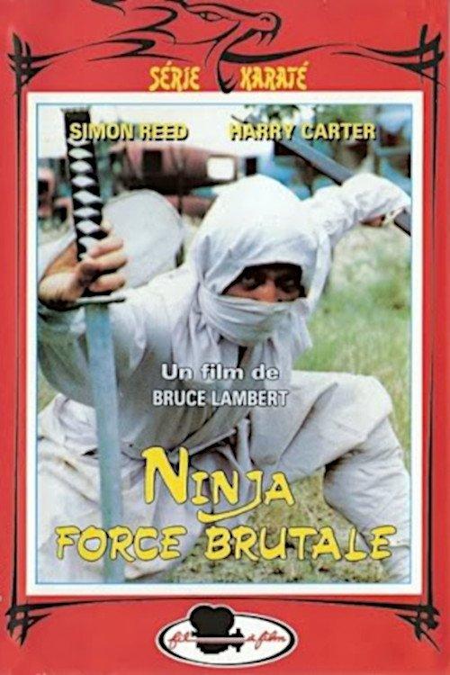 O Feiticeiro Ninja