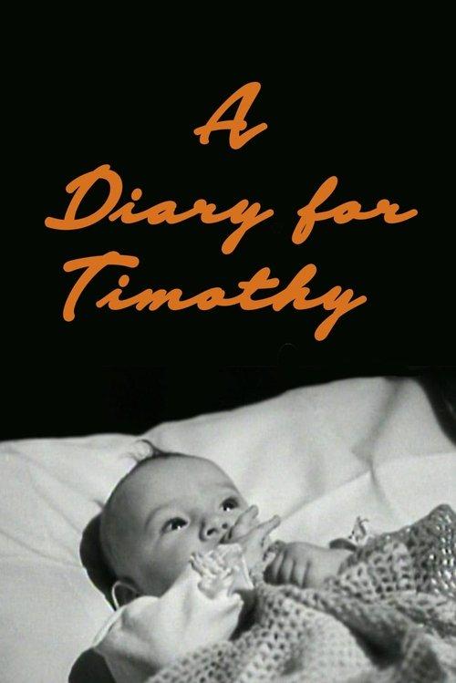 Um Diário para Timothy