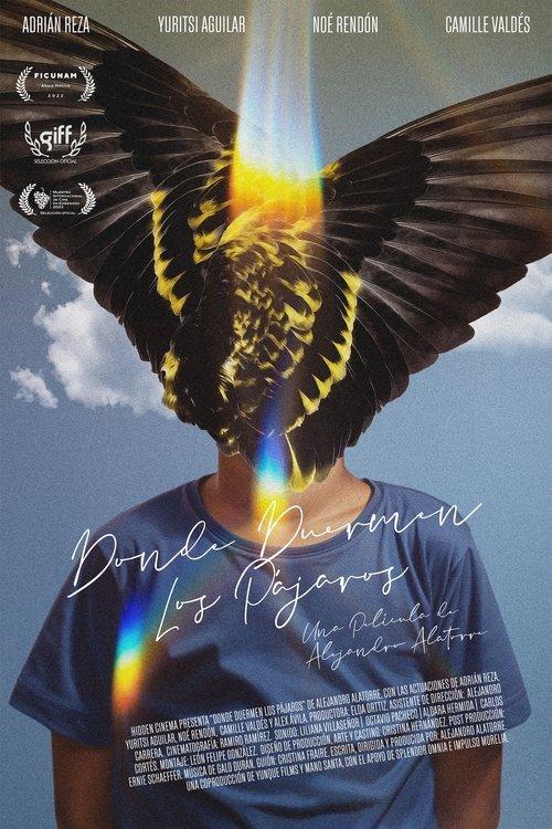 Donde duermen los pájaros