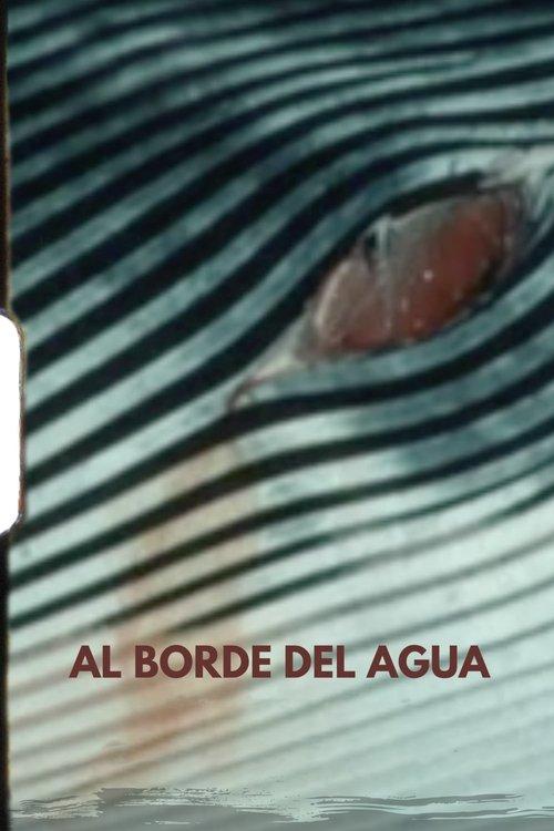 Al borde del agua