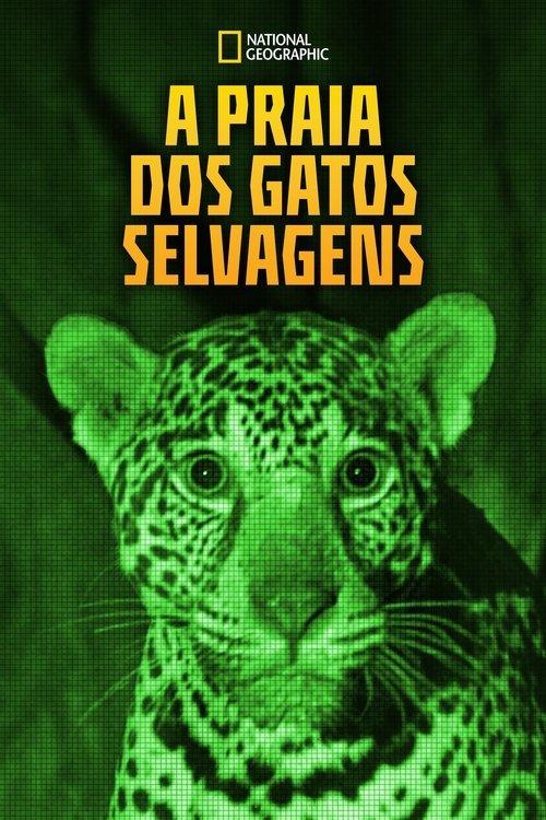 A Praia dos Gatos Selvagens