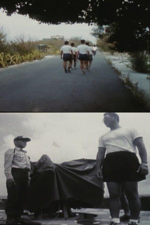南之島之男之島