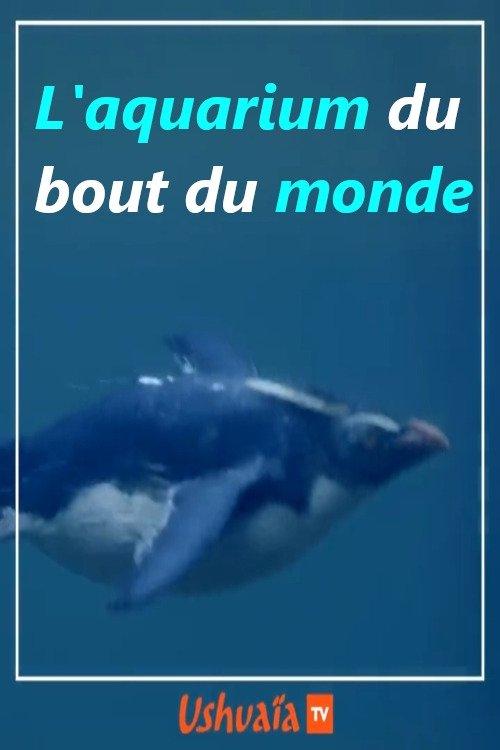 L'aquarium du bout du monde