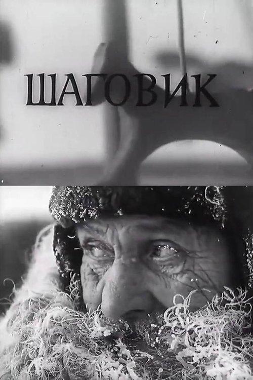 Шаговик