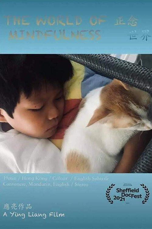 正念世界
