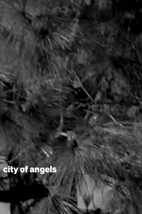 city of angels