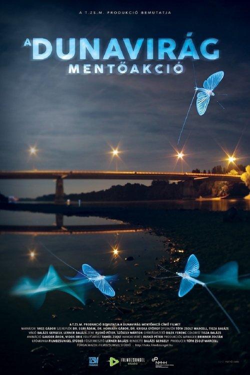 A dunavirág mentőakció