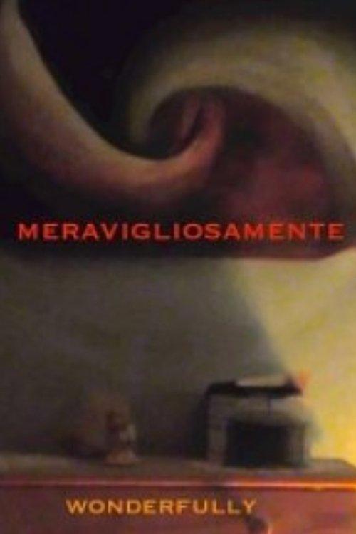 Meravigliosamente