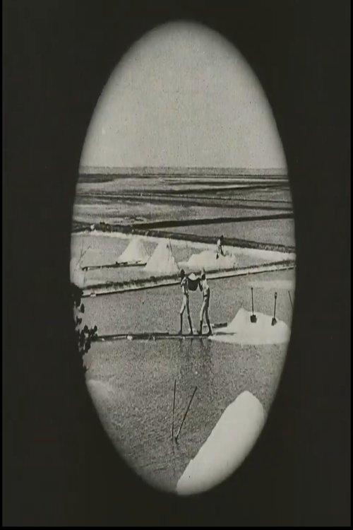 Voyage au Brésil