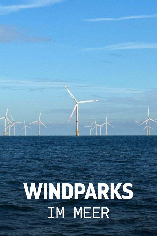 Windparks im Meer - Chance oder Risiko für die Natur?