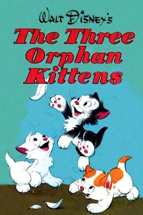 Três Gatinhos Órfãos
