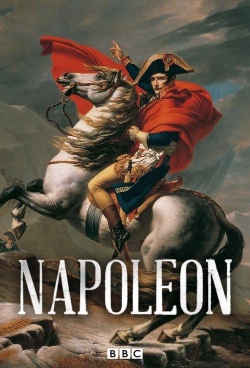 Napoleão - A Verdadeira História