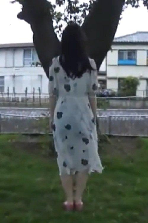 ダイジェスト