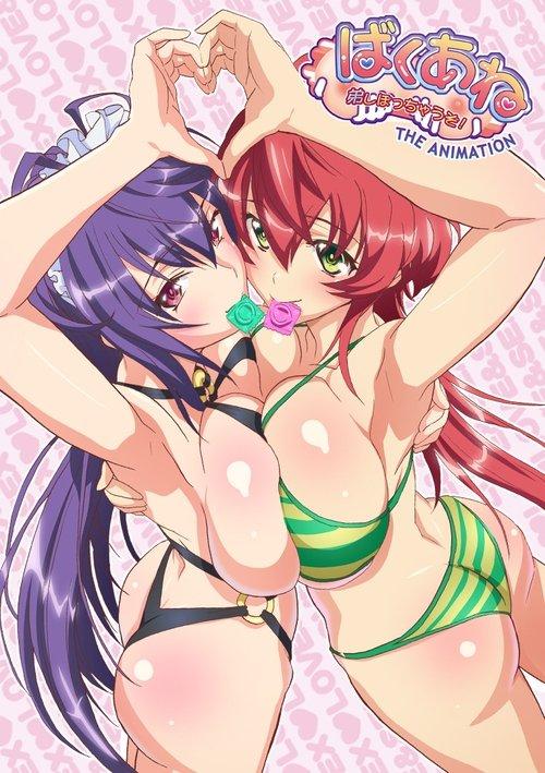 Baku Ane: Otouto Shibocchau Zo! The Animation